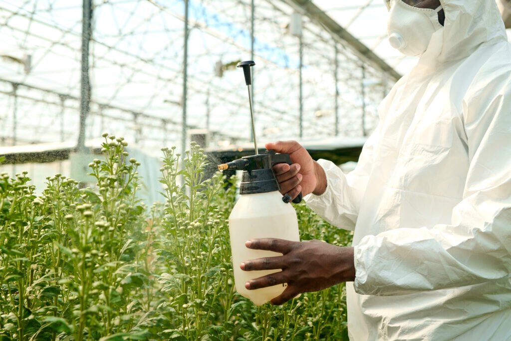 Traitement Phytosanitaire des Espaces Verts au Maroc